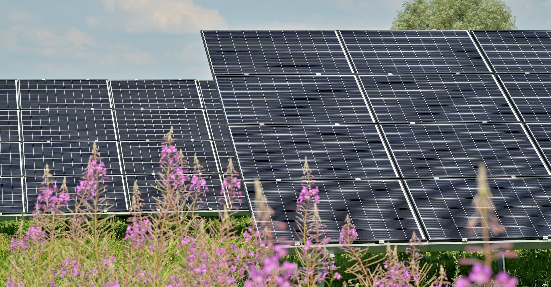 pilns-projektesanas-process